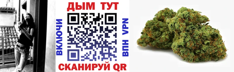 МАРИХУАНА SATIVA & INDICA  наркота  Алушта 